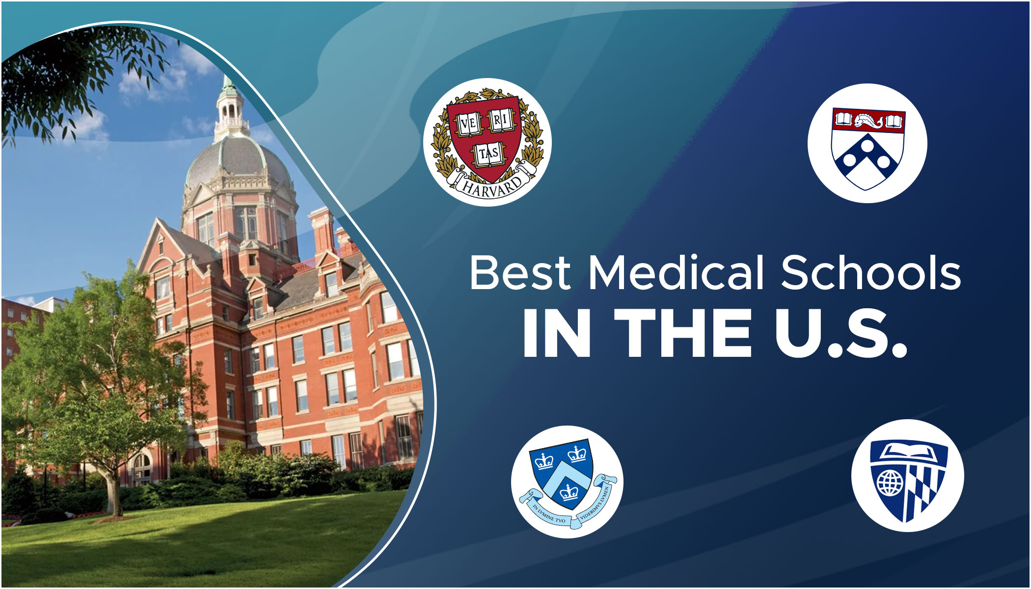 top universities to study medicine in the USA